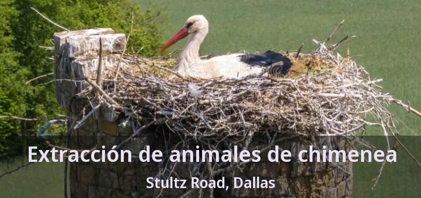 Extracción de animales de chimenea Stultz Road, Dallas - TX Extracción de animales de chimenea Stultz Road, Dallas - TX