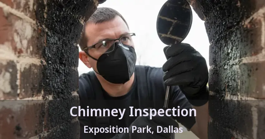 Chimney Inspection Exposition Park, Dallas - TX Chimney Inspection Exposition Park, Dallas - TX