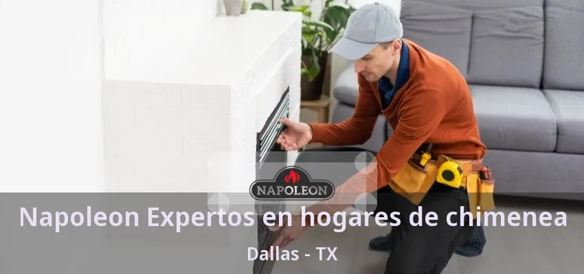 Napoleon Expertos en hogares de chimenea Dallas - TX Napoleon Expertos en hogares de chimenea Dallas - TX