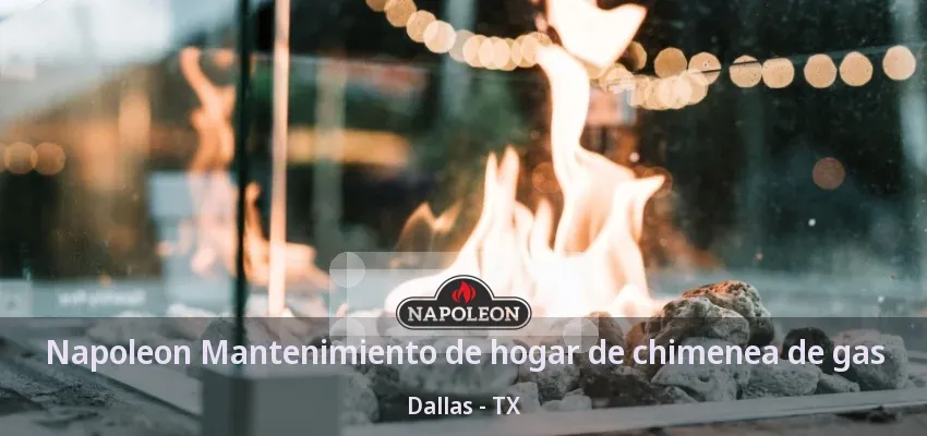 Napoleon Mantenimiento de hogar de chimenea de gas Dallas - TX