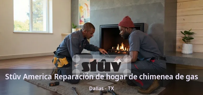 Stûv America Reparación de hogar de chimenea de gas Dallas - TX Stûv America Reparación de hogar de chimenea de gas Dallas - TX